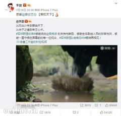 李晨被网络主播粉丝怒怼关评论?原创超燃BGM版权闹乌龙