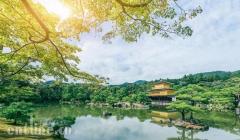 处女星号秋季“枫花雪月”航线,邀您以快门“狩”秋
