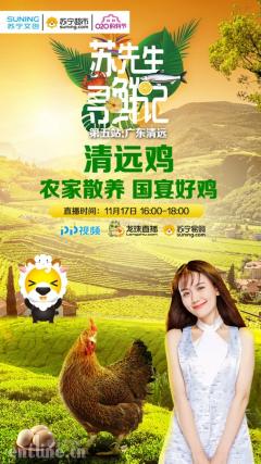 国宴钦点美味 苏先生寻鲜清远鸡