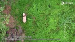 艳压“舌尖”,美过BBC,这部“把中国拍的最美”的年度神作你还没看?