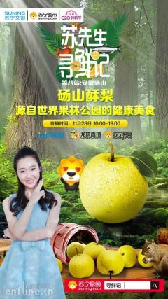 苏先生深入世界果林,寻鲜“果中甘露”砀山梨