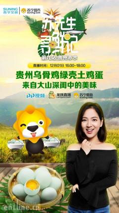 赤水竹林中的“蛋中人参” 苏先生带你寻鲜乌骨鸡蛋