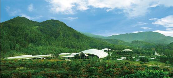 百岁山基地2011