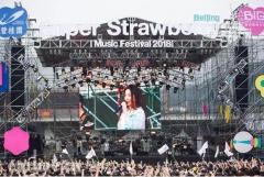 碧桂园牵手草莓音乐节 BIG+碧家国际社区引关注