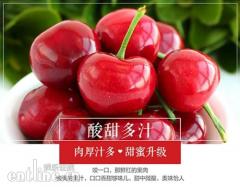 品味“果中珍品”烟台大樱桃 PP视频《寻味中国》第十期即将上线