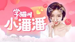 《学猫叫》卖萌成风,YY发力打造“猫系女友”小潘潘