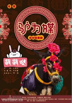 《驴为媒》今开机 精准扶贫在东阿