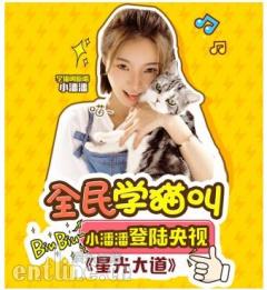 YY小潘潘一个月登三次央视,网友:学猫叫这是要上春晚节奏
