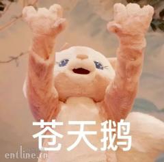 ������˭�ڷ�������